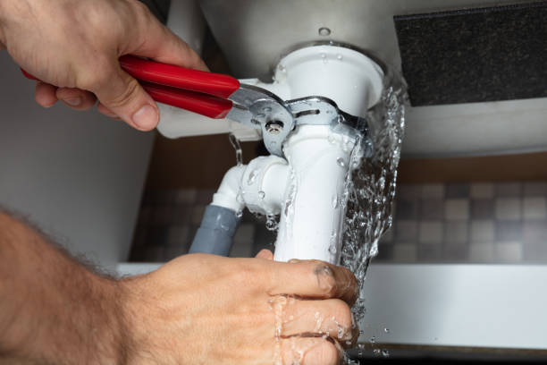 Best Mold removal after water damage  in Gilbert, AZ
