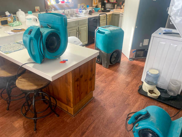 Best Sewage cleanup and water damage restoration  in Gilbert, AZ