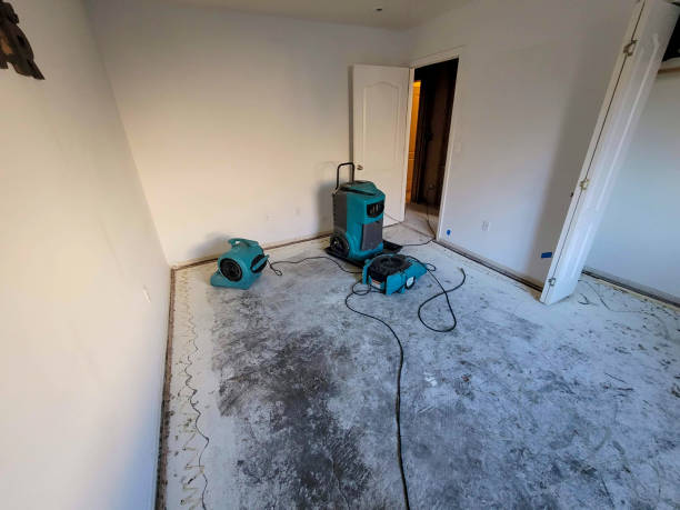 Best Water damage contractors near me  in Gilbert, AZ
