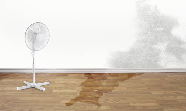 Professional Water damage restoration in Gilbert, AZ